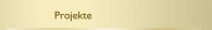 Projekte